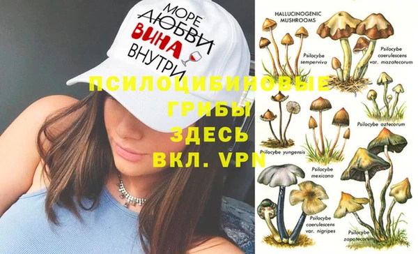 mdpv Переславль-Залесский