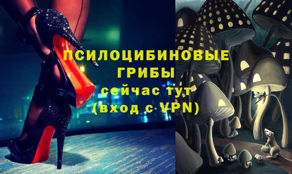 MDMA Пересвет