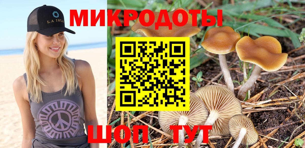 Галлюциногенные грибы Cubensis Зерноград