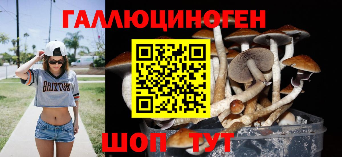 сколько стоит  Галлюциногенные грибы ЛСД  Вход с VPN  Галлюциногенные грибы Psilocybe  Зерноград 