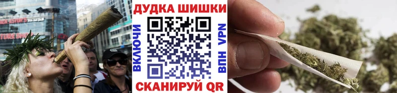 сколько стоит Зерноград Каннабис планчик