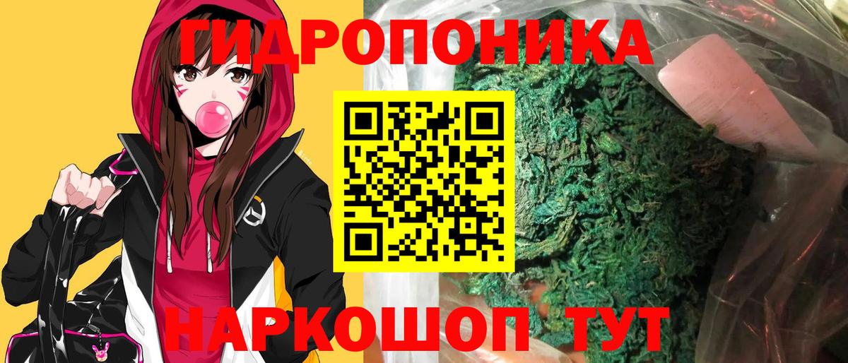 Конопля White Widow  Вход с VPN  Зерноград  Канабис Amnesia  Каннабис White Widow 